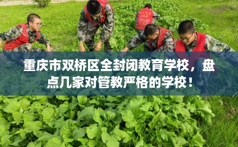 重庆市双桥区全封闭教育学校,盘点几家对管教严格的学校! 重庆市双桥区全封闭教育学校,盘点几家对管教严格的学校!