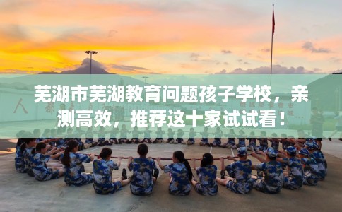 芜湖市芜湖教育问题孩子学校，亲测高效，推荐这十家试试看！