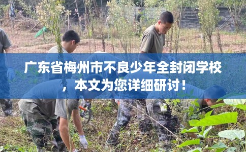 广东省梅州市不良少年全封闭学校，本文为您详细研讨！
