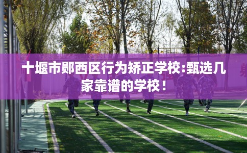 十堰市郧西区行为矫正学校:甄选几家靠谱的学校! 十堰市郧西区行为矫正学校:甄选几家靠谱的学校!