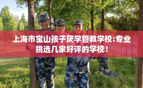 上海市宝山孩子厌学管教学校:专业挑选几家好评的学校! 上海市宝山孩子厌学管教学校:专业挑选几家好评的学校!