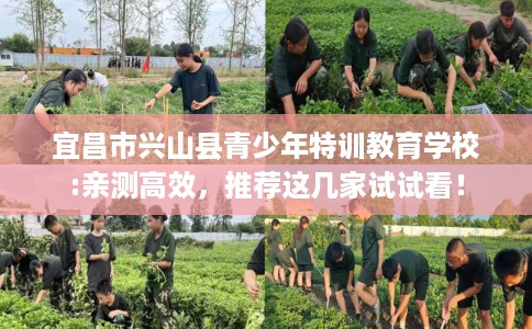 宜昌市兴山县青少年特训教育学校:亲测高效，推荐这几家试试看！