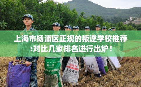 上海市杨浦区正规的叛逆学校推荐:对比几家排名进行出炉！