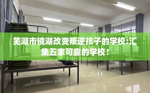 芜湖市镜湖改变叛逆孩子的学校:汇集五家可靠的学校！