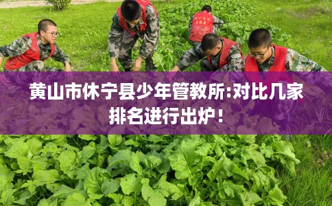 黄山市休宁县少年管教所:对比几家排名进行出炉！