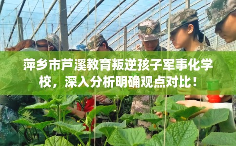 萍乡市芦溪教育叛逆孩子军事化学校,深入分析明确观点对比! 萍乡市芦溪教育叛逆孩子军事化学校,深入分析明确观点对比!