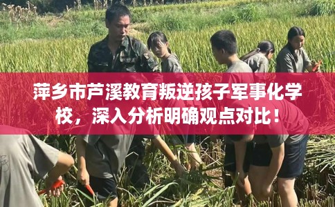 萍乡市芦溪教育叛逆孩子军事化学校,深入分析明确观点对比! 萍乡市芦溪教育叛逆孩子军事化学校,深入分析明确观点对比!