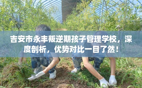 吉安市永丰叛逆期孩子管理学校,深度剖析,优势对比一目了然! 吉安市永丰叛逆期孩子管理学校,深度剖析,优势对比一目了然!