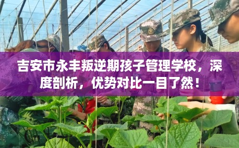 吉安市永丰叛逆期孩子管理学校,深度剖析,优势对比一目了然! 吉安市永丰叛逆期孩子管理学校,深度剖析,优势对比一目了然!