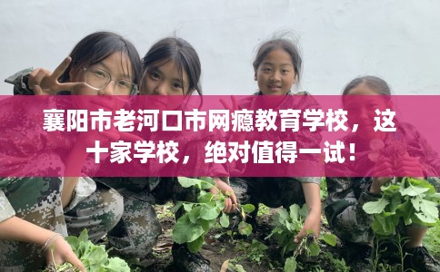 襄阳市老河口市网瘾教育学校，这十家学校，绝对值得一试！