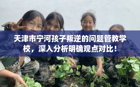 天津市宁河孩子叛逆的问题管教学校，深入分析明确观点对比！