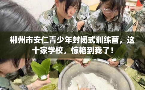 郴州市安仁青少年封闭式训练营，这十家学校，惊艳到我了！