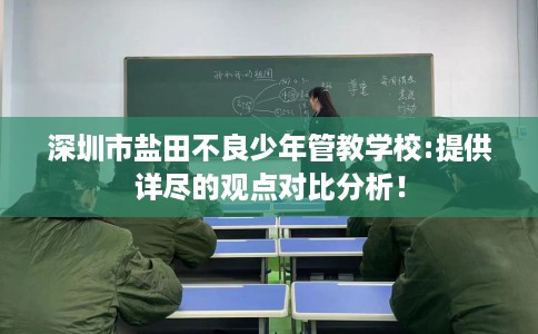 深圳市盐田不良少年管教学校:提供详尽的观点对比分析！