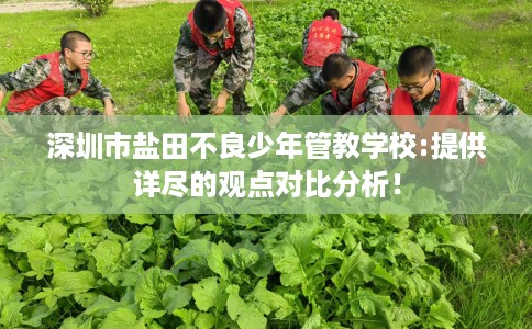 深圳市盐田不良少年管教学校:提供详尽的观点对比分析！