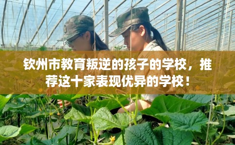 钦州市教育叛逆的孩子的学校，推荐这十家表现优异的学校！