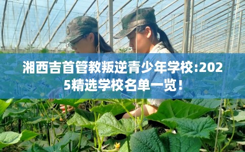 湘西吉首管教叛逆青少年学校:2025精选学校名单一览！