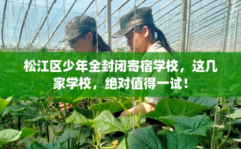 松江区少年全封闭寄宿学校,这几家学校,绝对值得一试! 松江区少年全封闭寄宿学校,这几家学校,绝对值得一试!