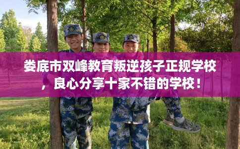 娄底市双峰教育叛逆孩子正规学校，良心分享十家不错的学校！