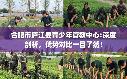 合肥市庐江县青少年管教中心:深度剖析，优势对比一目了然！