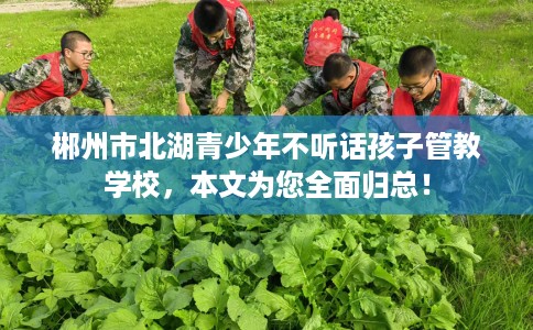 郴州市北湖青少年不听话孩子管教学校，本文为您全面归总！