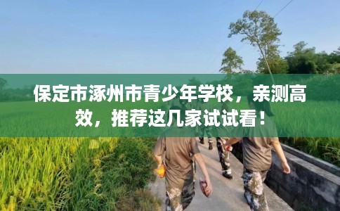 保定市涿州市青少年学校，亲测高效，推荐这几家试试看！