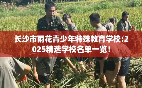 长沙市雨花青少年特殊教育学校:2025精选学校名单一览! 长沙市雨花青少年特殊教育学校:2025精选学校名单一览!