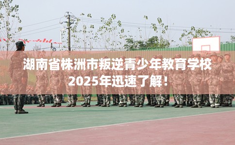 湖南省株洲市叛逆青少年教育学校2025年迅速了解！