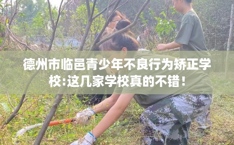 德州市临邑青少年不良行为矫正学校:这几家学校真的不错！