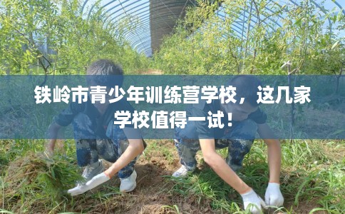 铁岭市青少年训练营学校,这几家学校值得一试! 铁岭市青少年训练营学校,这几家学校值得一试!