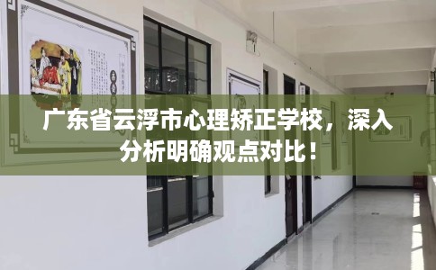 广东省云浮市心理矫正学校，深入分析明确观点对比！