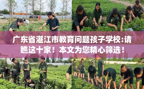 广东省湛江市教育问题孩子学校:请瞧这十家！本文为您精心筛选！