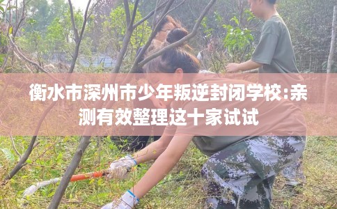 衡水市深州市少年叛逆封闭学校:亲测有效整理这十家试试