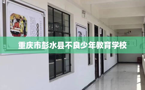 重庆市彭水县不良少年教育学校 重庆市彭水县不良少年教育学校