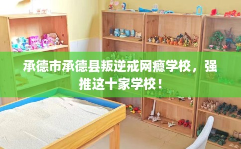 承德市承德县叛逆戒网瘾学校，强推这十家学校！