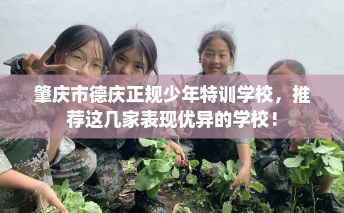 肇庆市德庆正规少年特训学校，推荐这几家表现优异的学校！