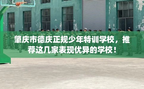 肇庆市德庆正规少年特训学校，推荐这几家表现优异的学校！