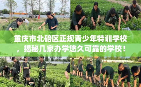 重庆市北碚区正规青少年特训学校,揭秘几家办学悠久可靠的学校! 重庆市北碚区正规青少年特训学校,揭秘几家办学悠久可靠的学校!