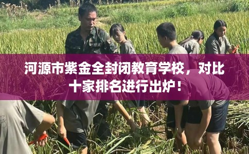 河源市紫金全封闭教育学校，对比十家排名进行出炉！