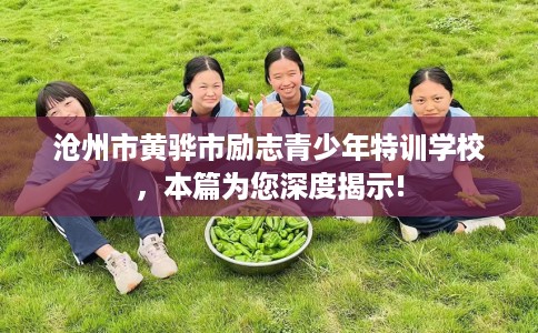 沧州市黄骅市励志青少年特训学校，本篇为您深度揭示!