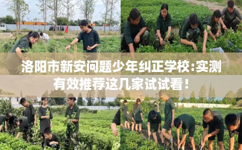 洛阳市新安问题少年纠正学校:实测有效推荐这几家试试看！