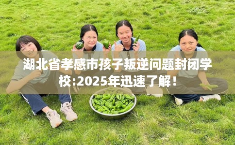 湖北省孝感市孩子叛逆问题封闭学校:2025年迅速了解！