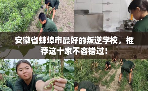 安徽省蚌埠市最好的叛逆学校，推荐这十家不容错过！