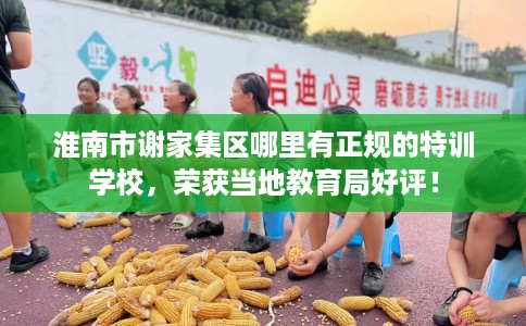 淮南市谢家集区哪里有正规的特训学校,荣获当地教育局好评! 淮南市谢家集区哪里有正规的特训学校,荣获当地教育局好评!