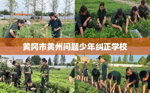黄冈市黄州问题少年纠正学校