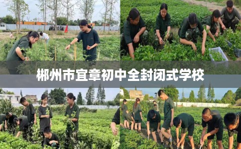 郴州市宜章初中全封闭式学校