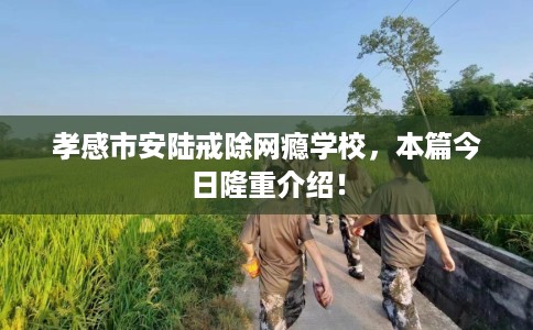 孝感市安陆戒除网瘾学校，本篇今日隆重介绍！