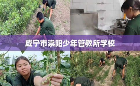 咸宁市崇阳少年管教所学校