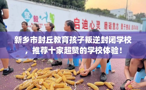 新乡市封丘教育孩子叛逆封闭学校，推荐十家超赞的学校体验！