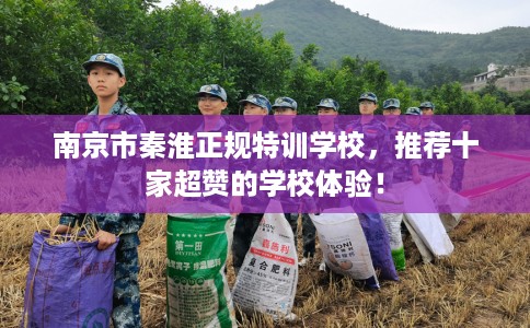 南京市秦淮正规特训学校，推荐十家超赞的学校体验！