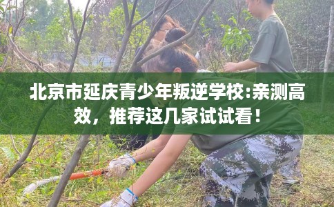 北京市延庆青少年叛逆学校:亲测高效，推荐这几家试试看！